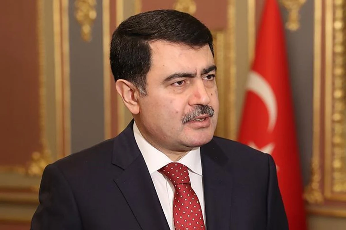 Vasip Şahin TİHEK Başkanlığına atandı