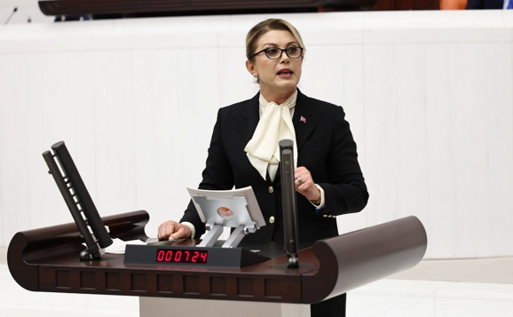 DNA örnekleri kime ait? Asu Kaya, Esma Kılıçarslan dosyasını Meclis'e taşıdı