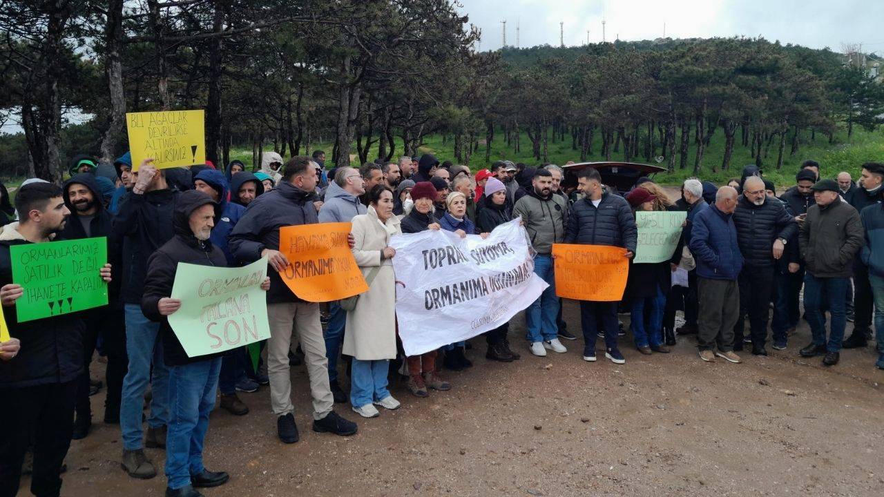 Maltepe’de orman ihalesine tepki: “Ormanlar ranta açılamaz”