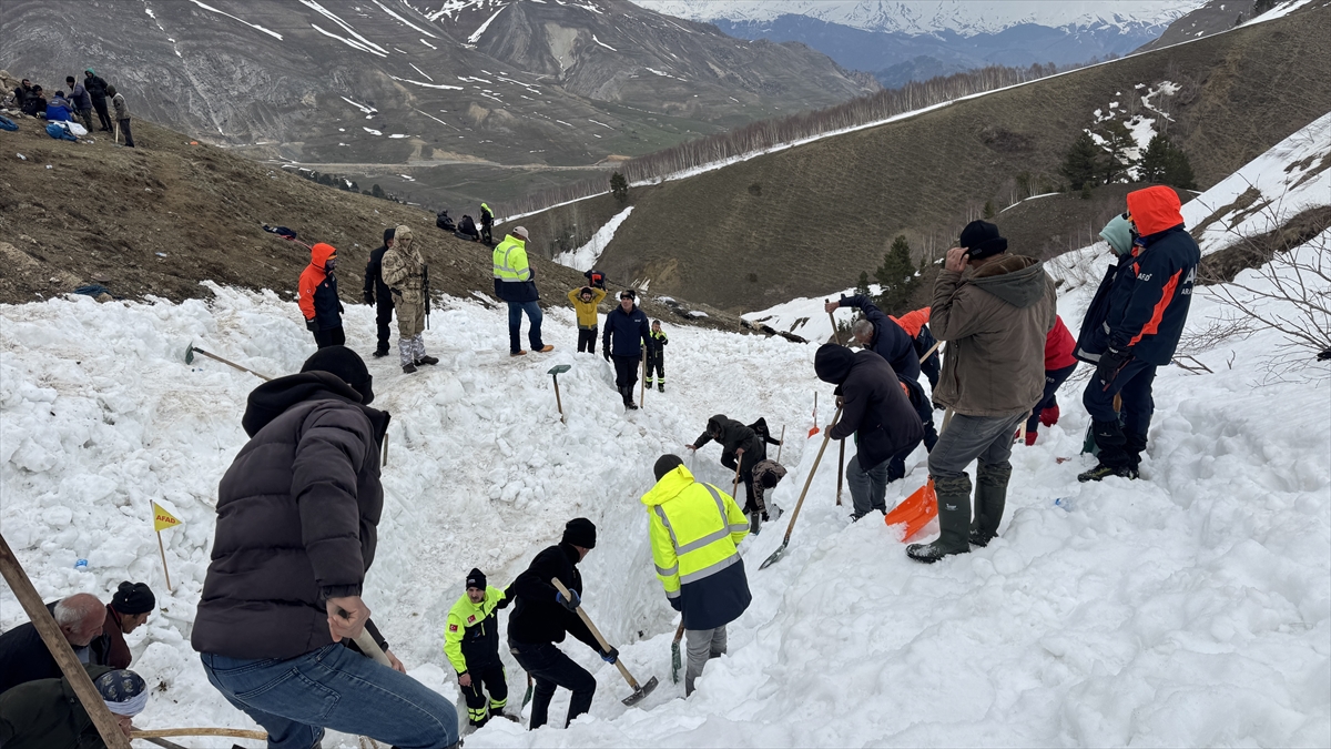 Artvin’de çığ felaketi, kayıp çoban için zamanla yarış
