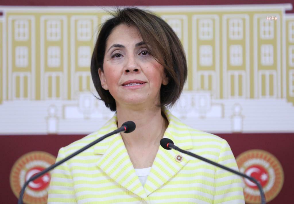 CHP’li Aylin Yaman’dan sağlıkta özelleştirme eleştirisi