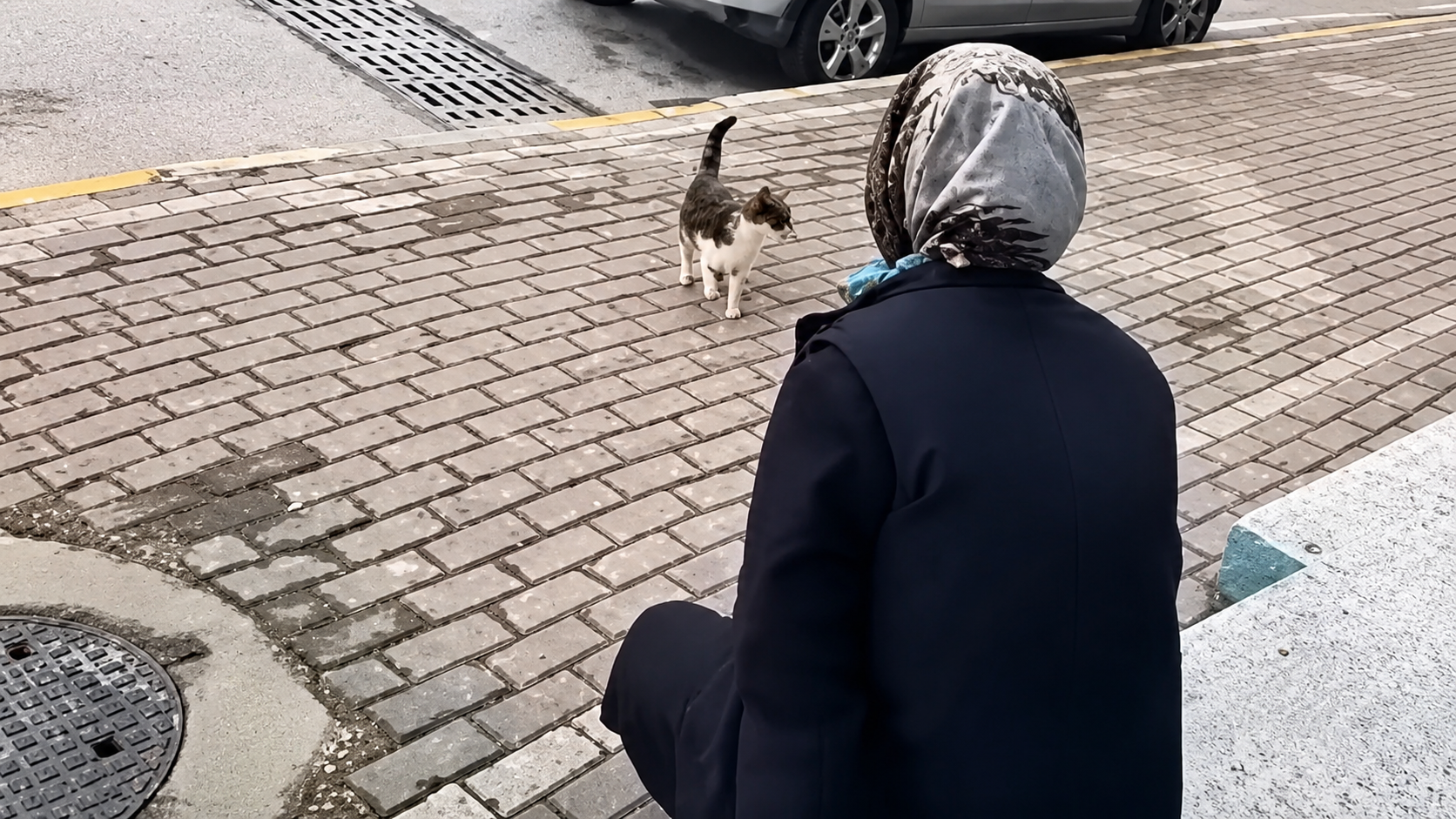 Kocaeli’de kediye kimyasal sıkan kadın serbest bırakıldı