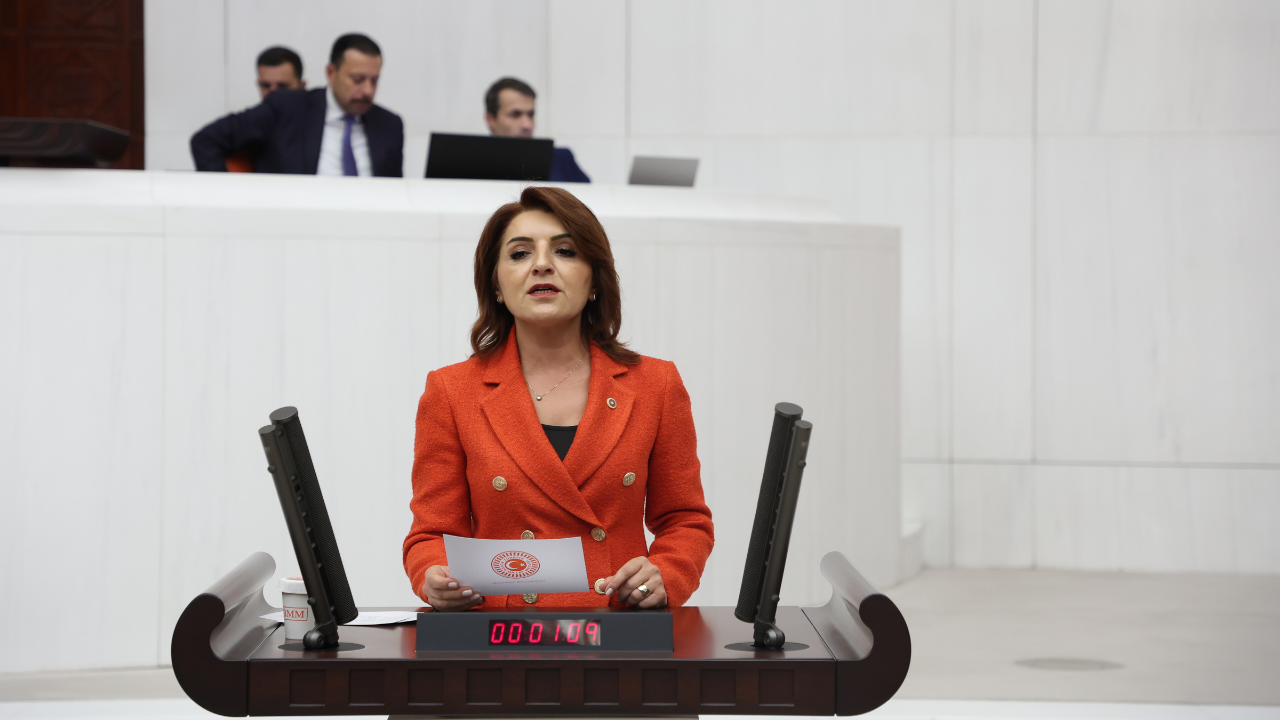 CHP’li Gülcan Kış: 9’uncu varlık barışı yolda