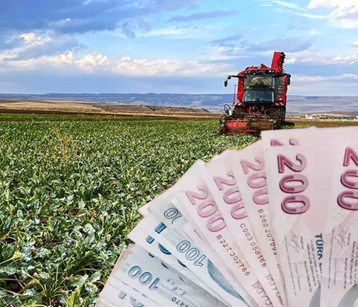 Çiftçi kredisi şartları belli oldu: Kimler yararlanacak?
