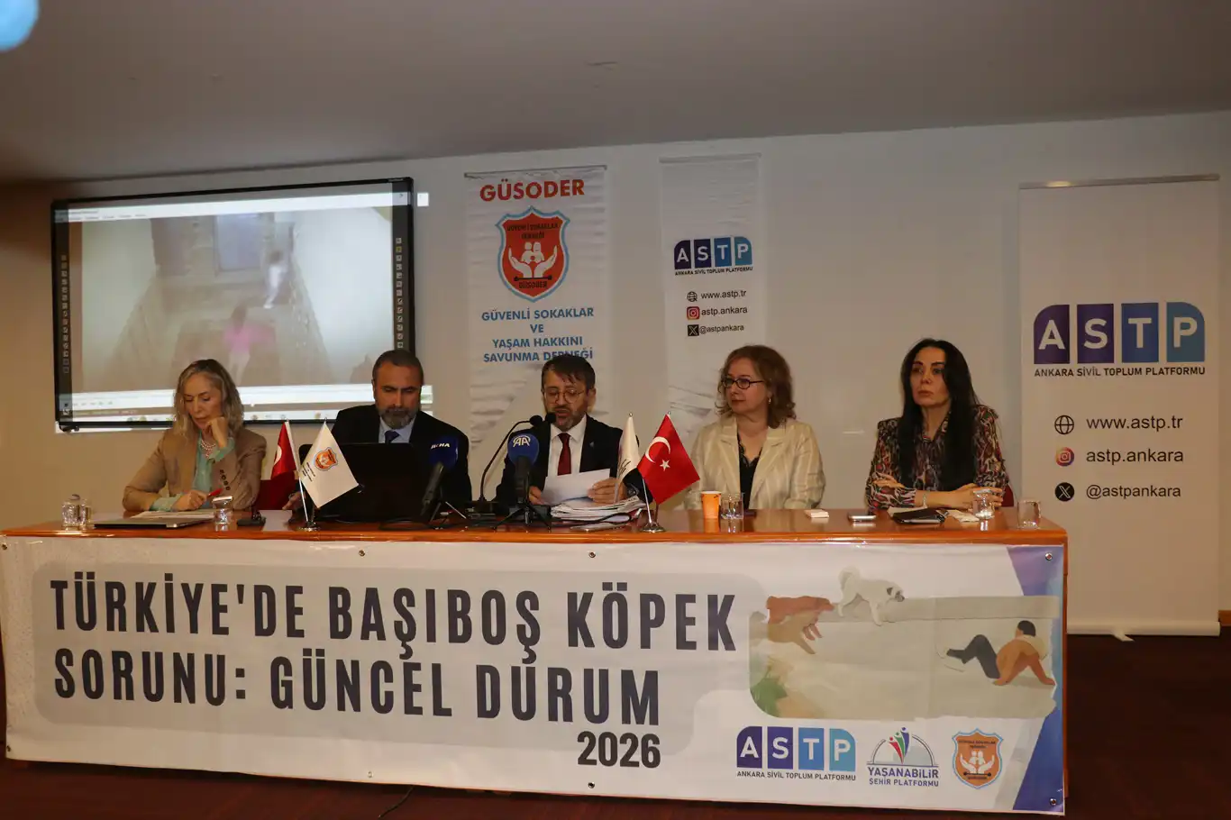 Ankara’da dikkat çeken panel: Sokak hayvanları için çözüm önerisi