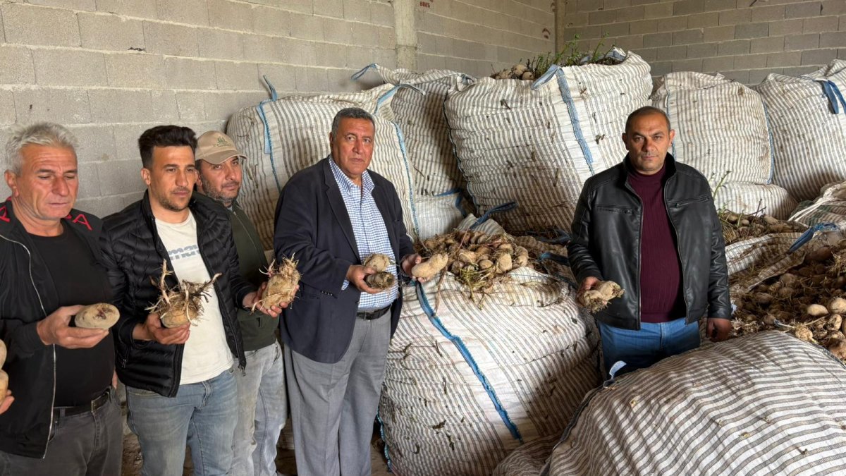 Niğde’de tarım alarmı: Ürün depolarda çürüyor, çiftçi iflas noktasında