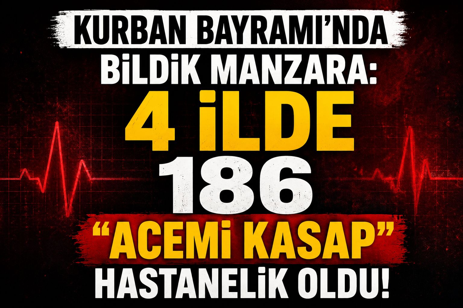 Van ve çevre illerde 186 "acemi kasap" hastanelik oldu