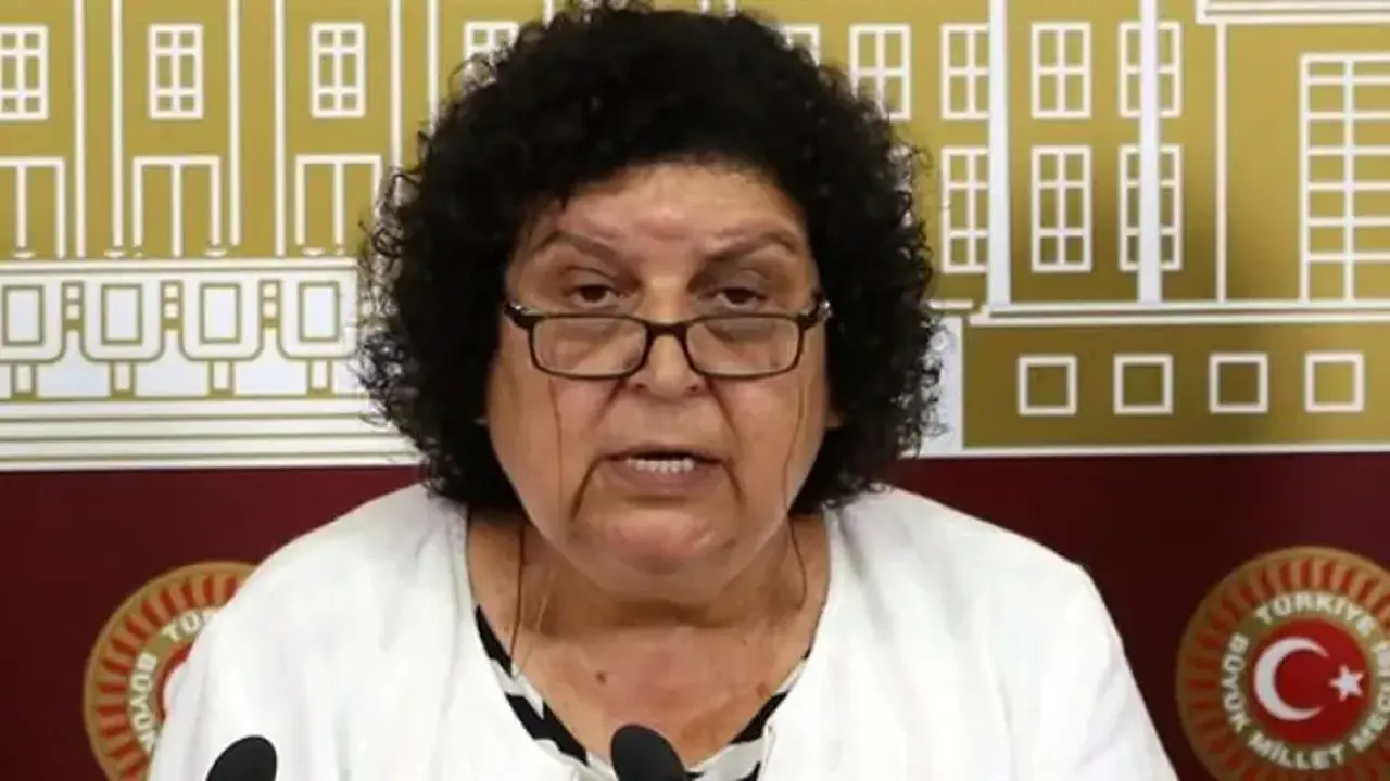Şanal Sarıhan: Bu azilname demokrasi madalyasıdır