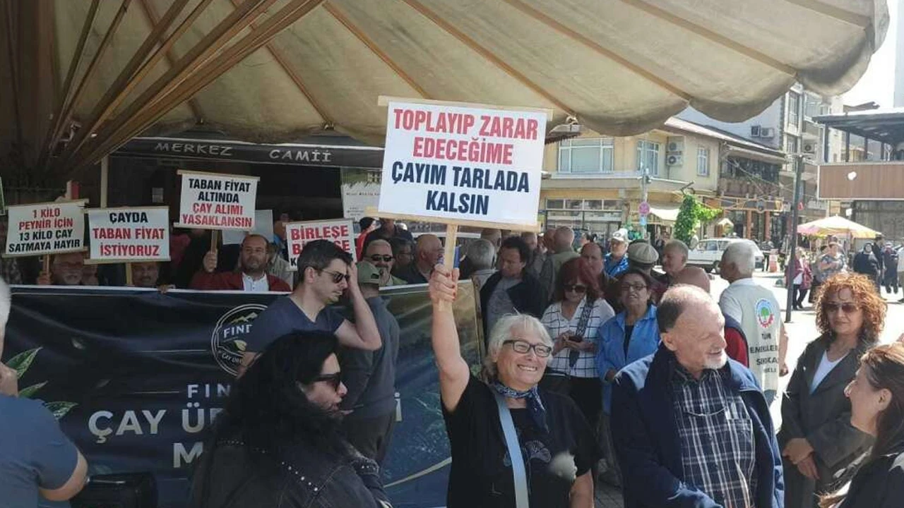 Fındıklı’da çay üreticileri eyleme hazırlanıyor