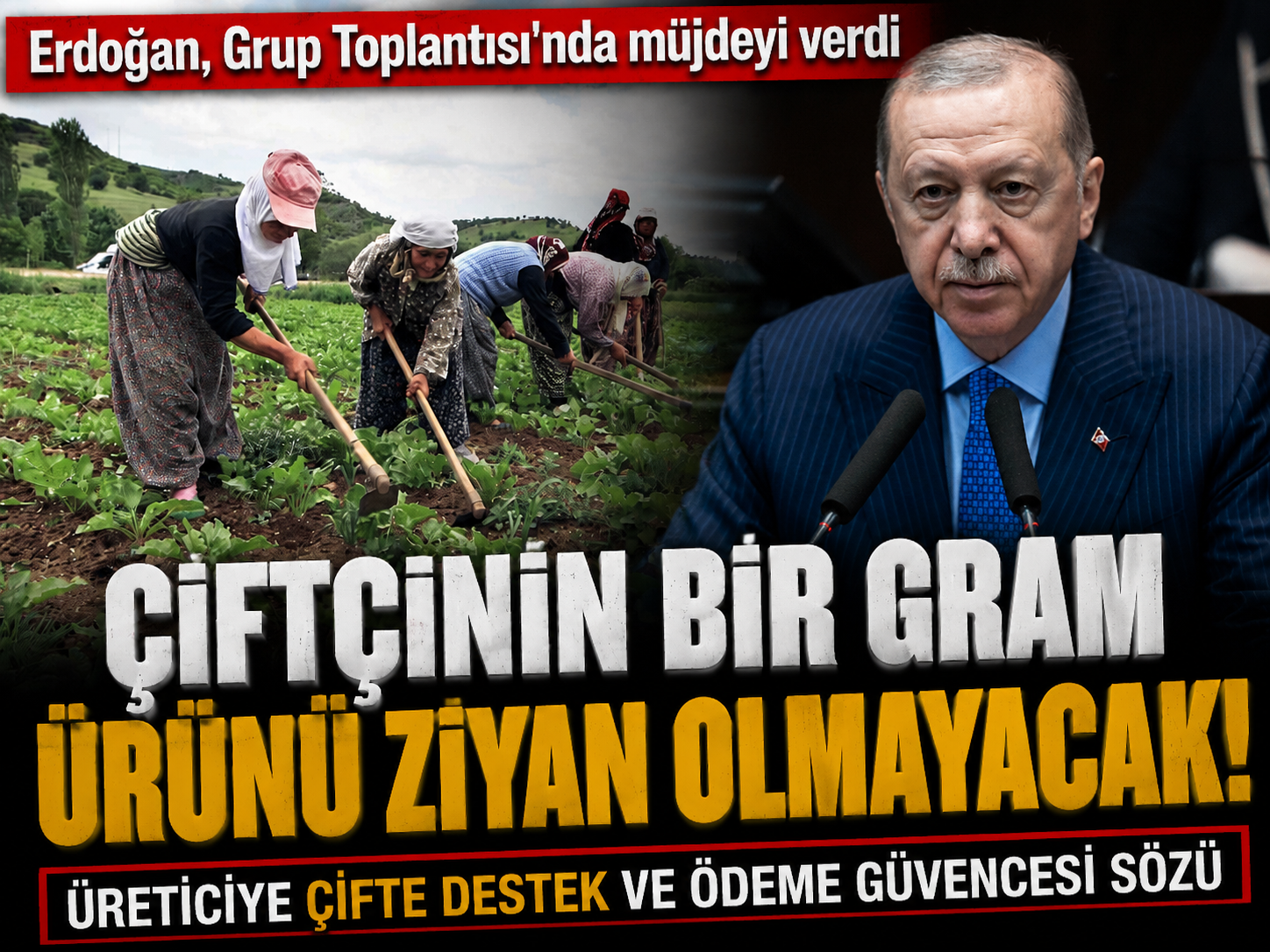 Erdoğan’dan üreticiye müjde: Bir gram ürün ziyan olmayacak