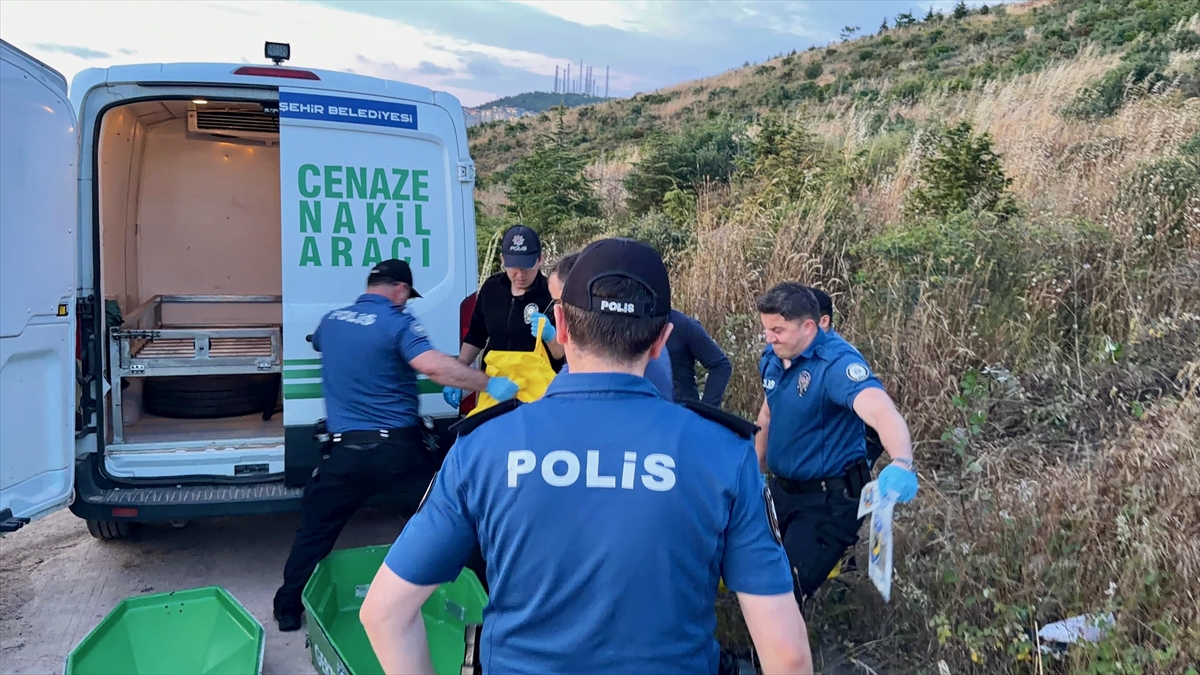Kocaeli'de korkunç manzara! Ormanda erkek cesedi bulundu
