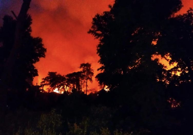 Marmaris’te korkutan yangın! Ormanda alevler yükseldi