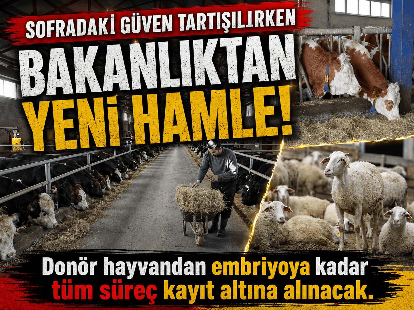 Gıda güvenliği tartışılırken hayvancılıkta yeni takip dönemi