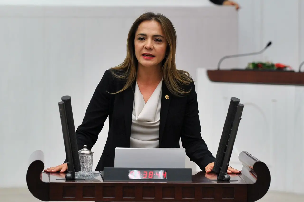 CHP’li İlgezdi sordu: Otoyol cezaları kimin kasasına gidiyor?