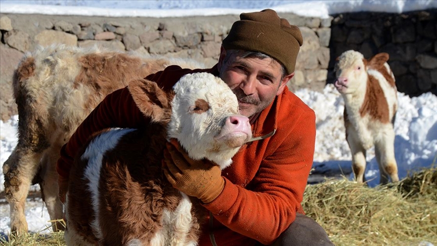 Besiciler bu karara dikkat! Küpelerde sistem değişti