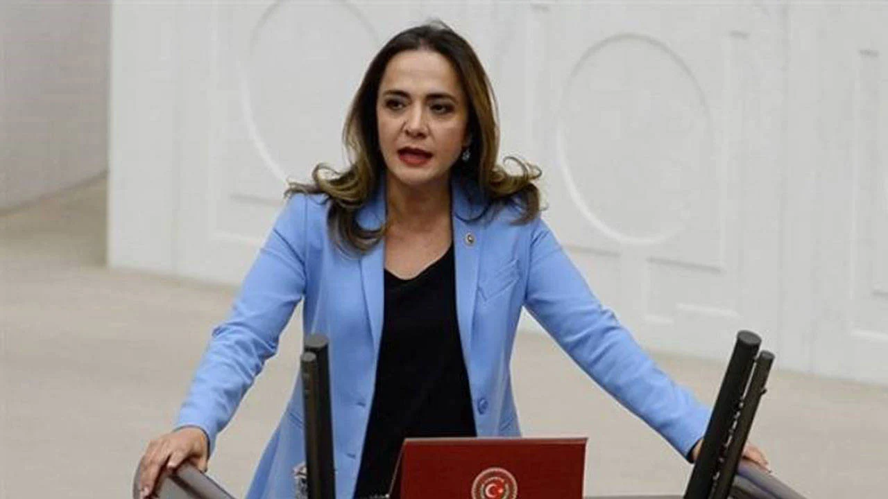 CHP'li İlgezdi'den Sağlık Bakanlığı'na atama tepkisi: Sağlık çalışanları cezalandırılıyor