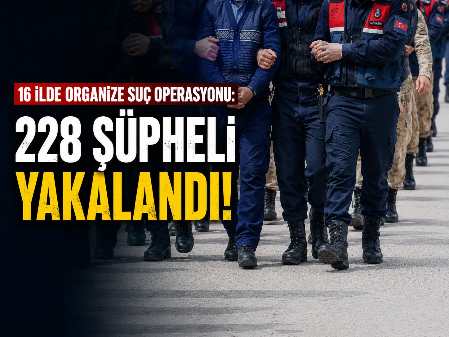 16 ilde organize suç operasyonu: 228 şüpheli yakalandı