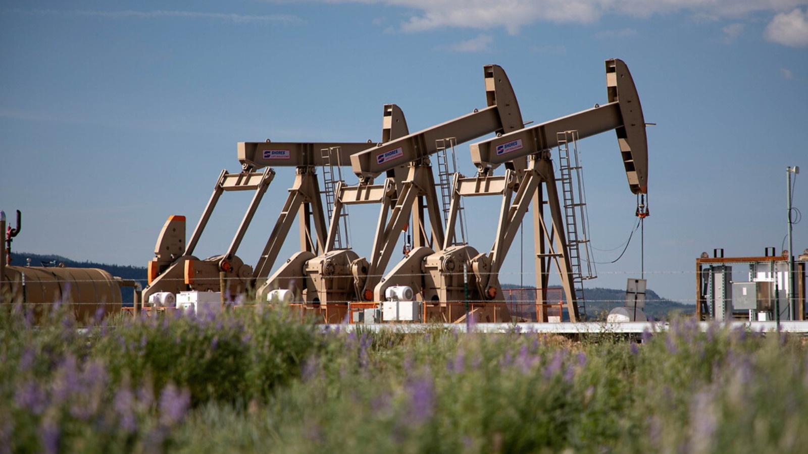 TPAO ve Petrogas’a Kırklareli’nde 2032’ye kadar yol açıldı