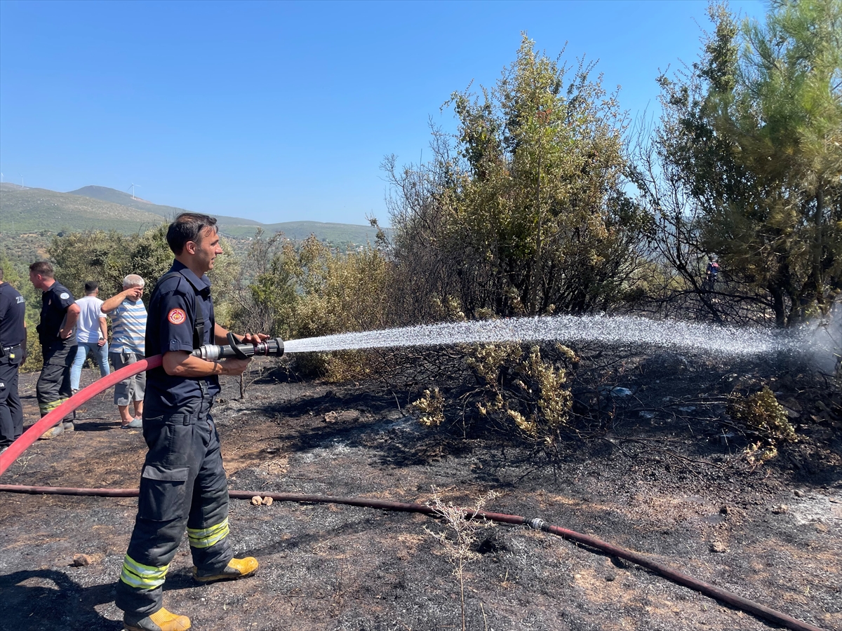 Bodrum'da çıkan makilik yangını kontrol altına alındı