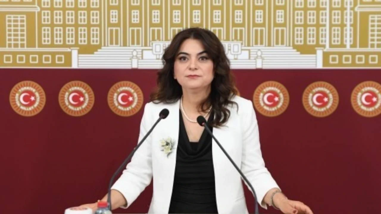 DEM Parti'li Koçyiğit: Çerçeve yasa Meclis tatile girmeden çıkarılsın