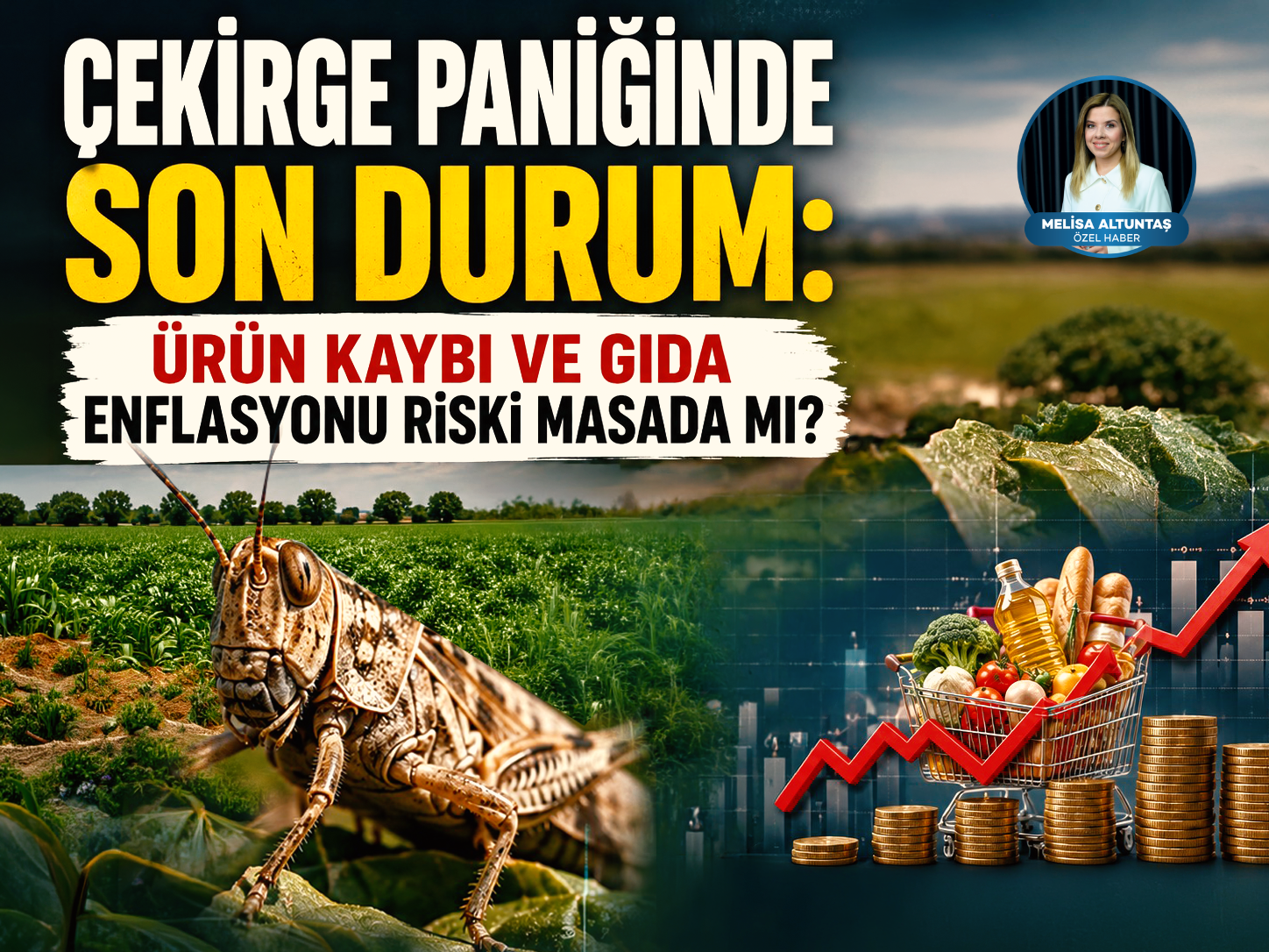 Çekirge paniğinde son durum: Ürün kaybı ve gıda enflasyonu riski masada mı?