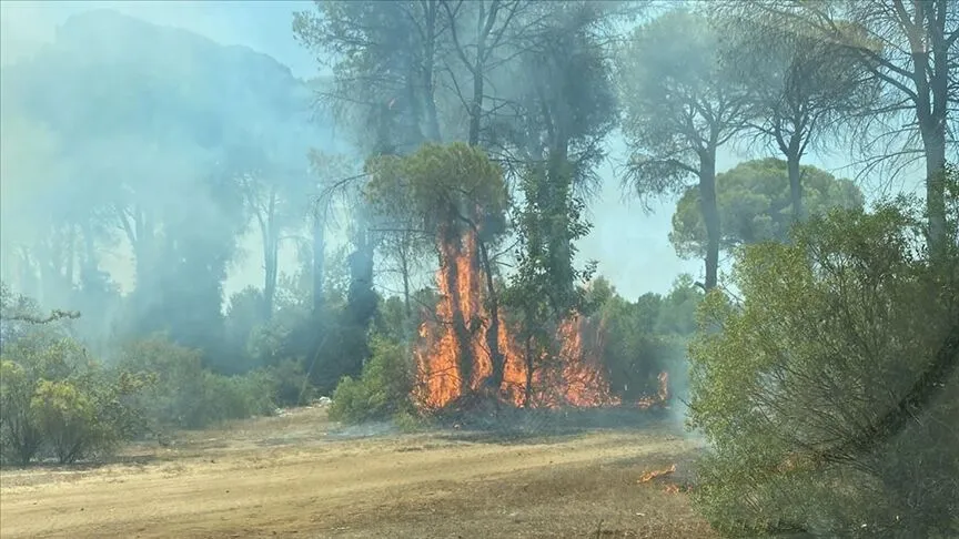 Antalya’da yangın kabusu! Ekipler seferber oldu