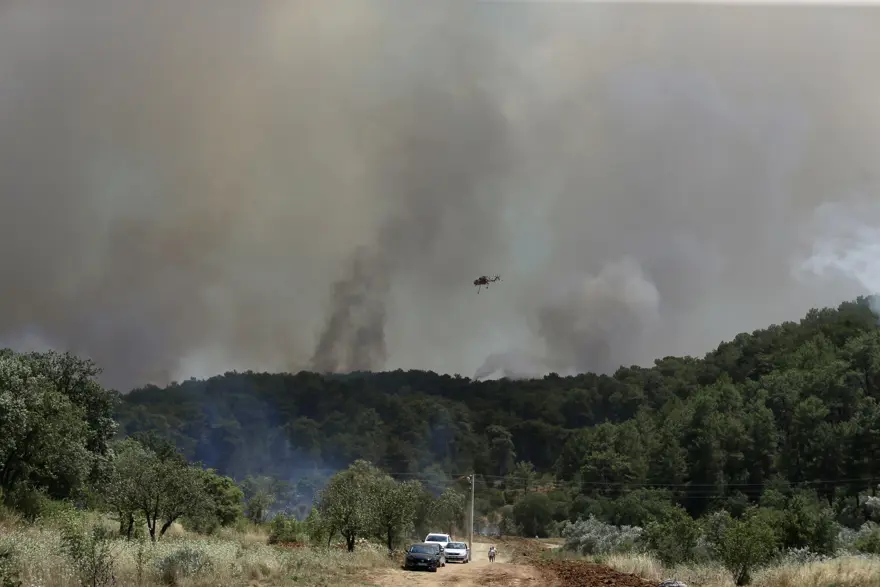 Muğla’da orman yangını! Bir mahalle tahliye edildi