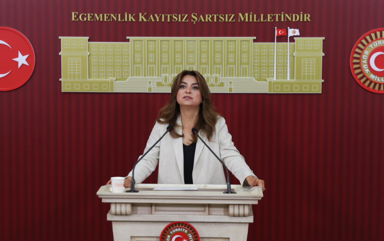 DEM Parti önerdi: Meclis'te 'barış izleme kurulu' kurulsun