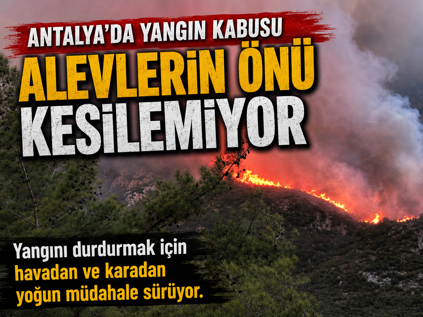 Kaş’ta orman yangını! Alevler yerleşim yerlerine yaklaşıyor