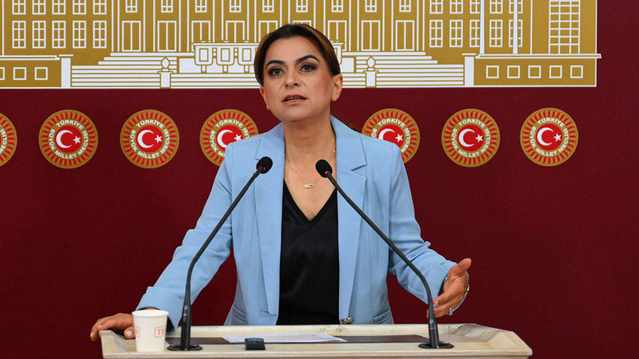 DEM parti'den çerçeve yasa açıklaması: Henüz bir metin yok, istisnalar dar tutulmalı
