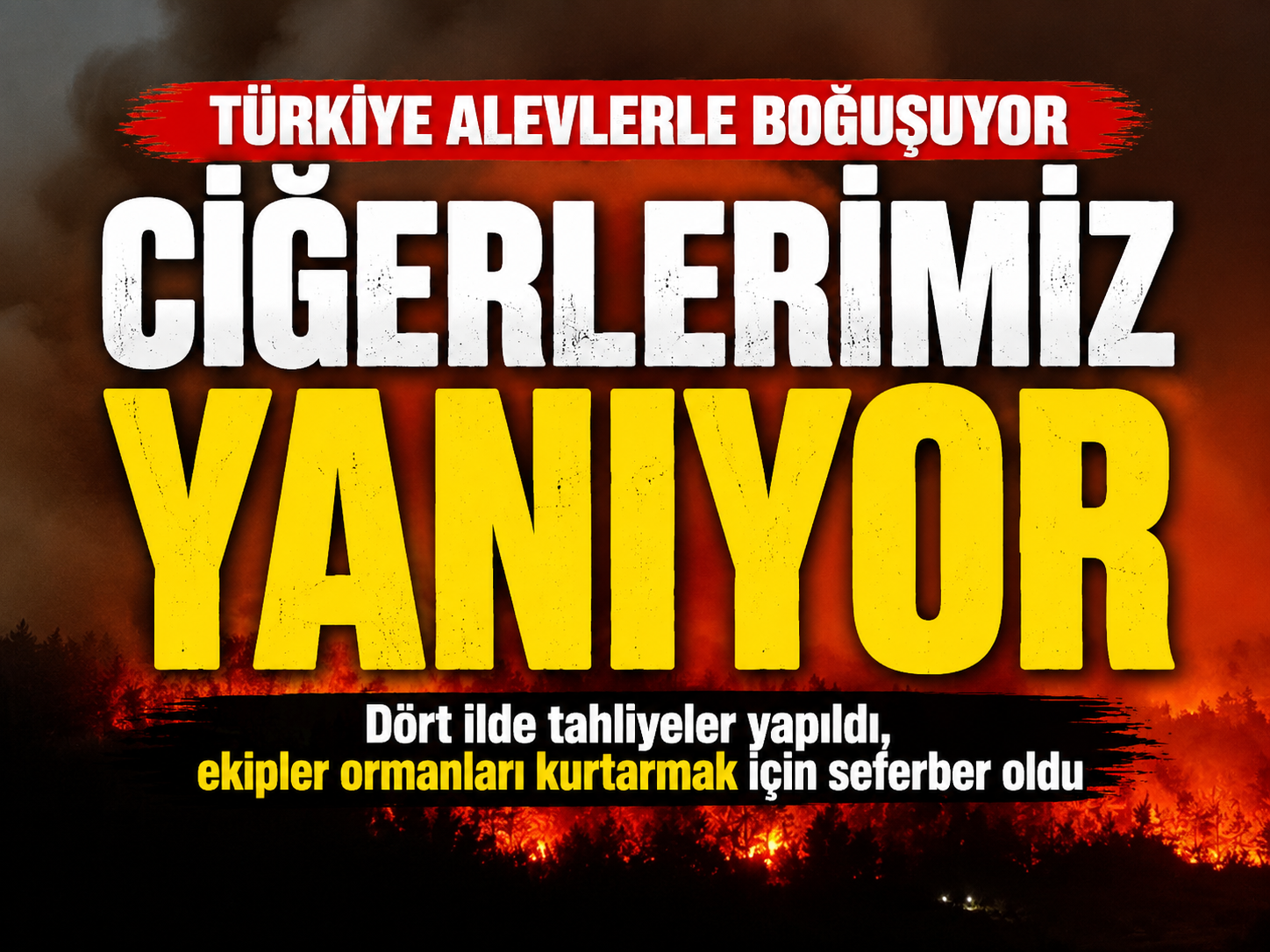 Türkiye’nin dört bir yanı yanıyor! Yangınlarda son durum