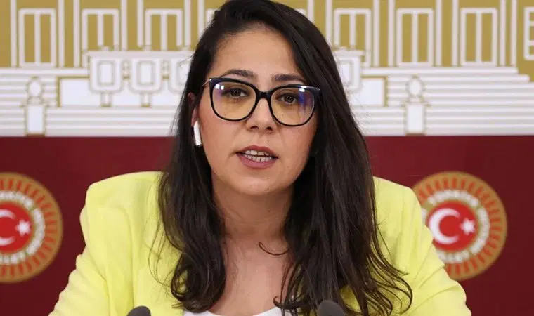 TİP'ten Sera Kadıgil açıklaması: "Düşünce ve ifade özgürlüğü hedef alınıyor"