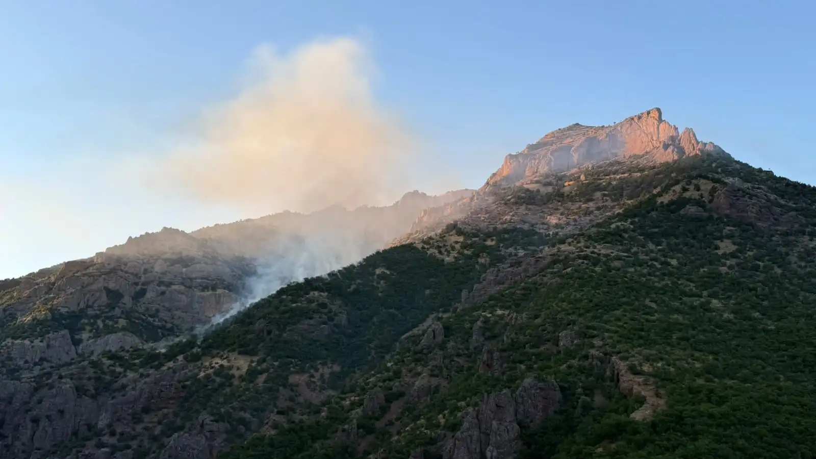Munzur Vadisi’nde 4 günlük yangın mücadelesi sona erdi