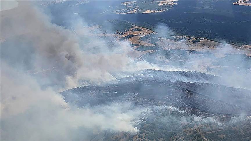 Manisa’da orman yangını: Ekipler seferber oldu