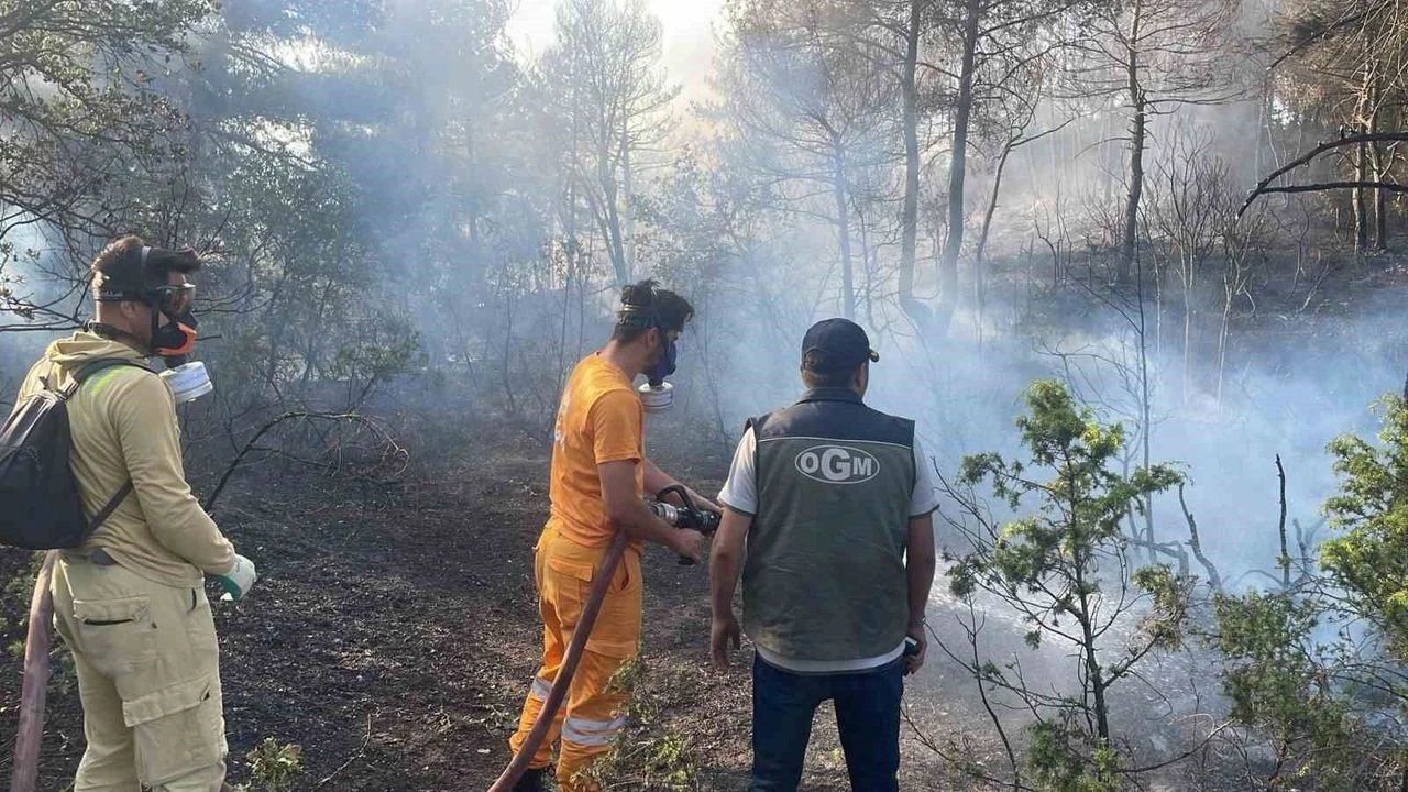 Bolu'dan gelen sevindirici haber: Soğutma çalışmaları başladı