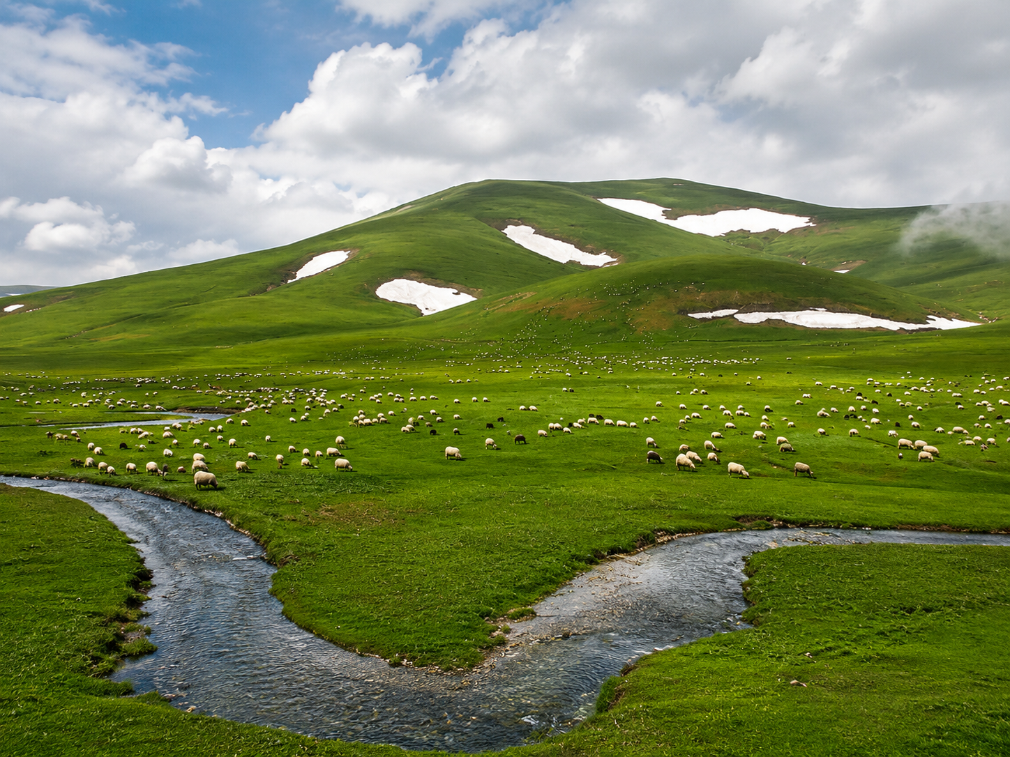 Karadeniz'in saklı cenneti: Camiboğazı sisle büyülüyor