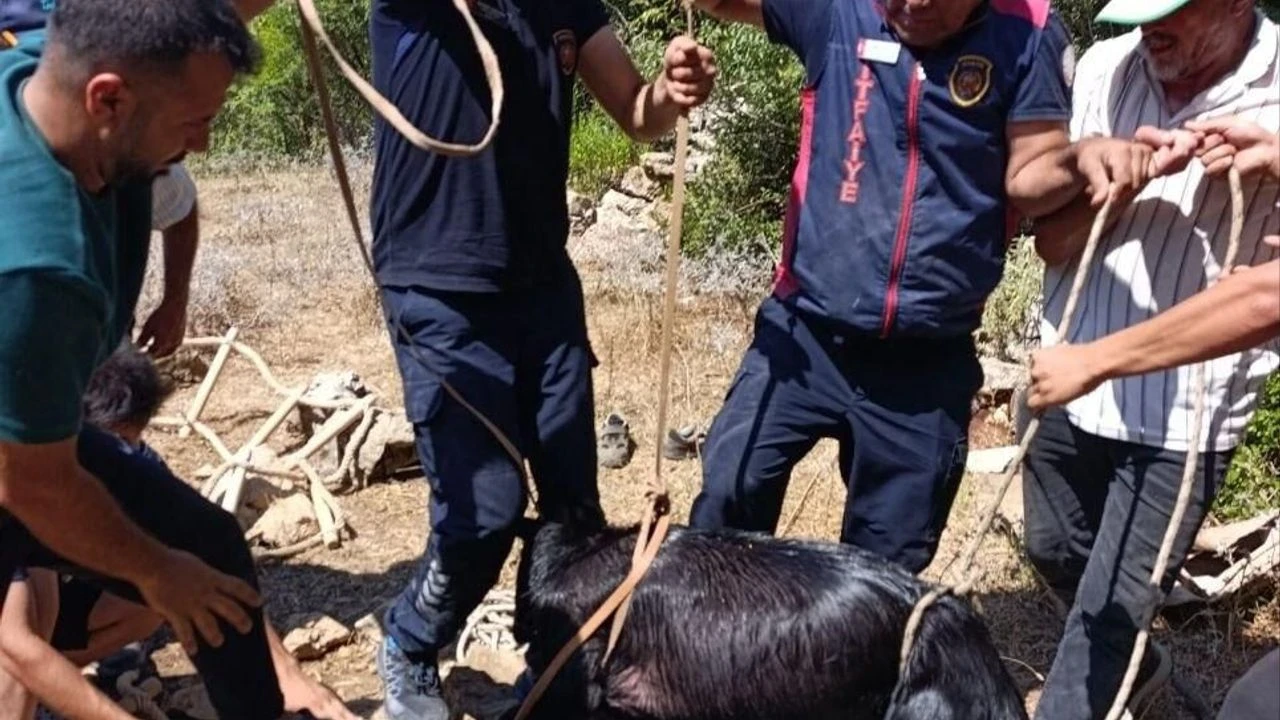 Hatay'da su kuyusuna düşen keçi itfaiye tarafından kurtarıldı