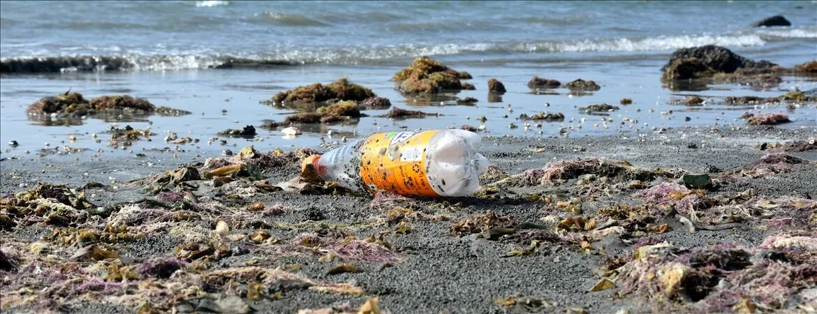 Kirlilik sorununa karşı İran harekete geçiyor: Tazminat şart