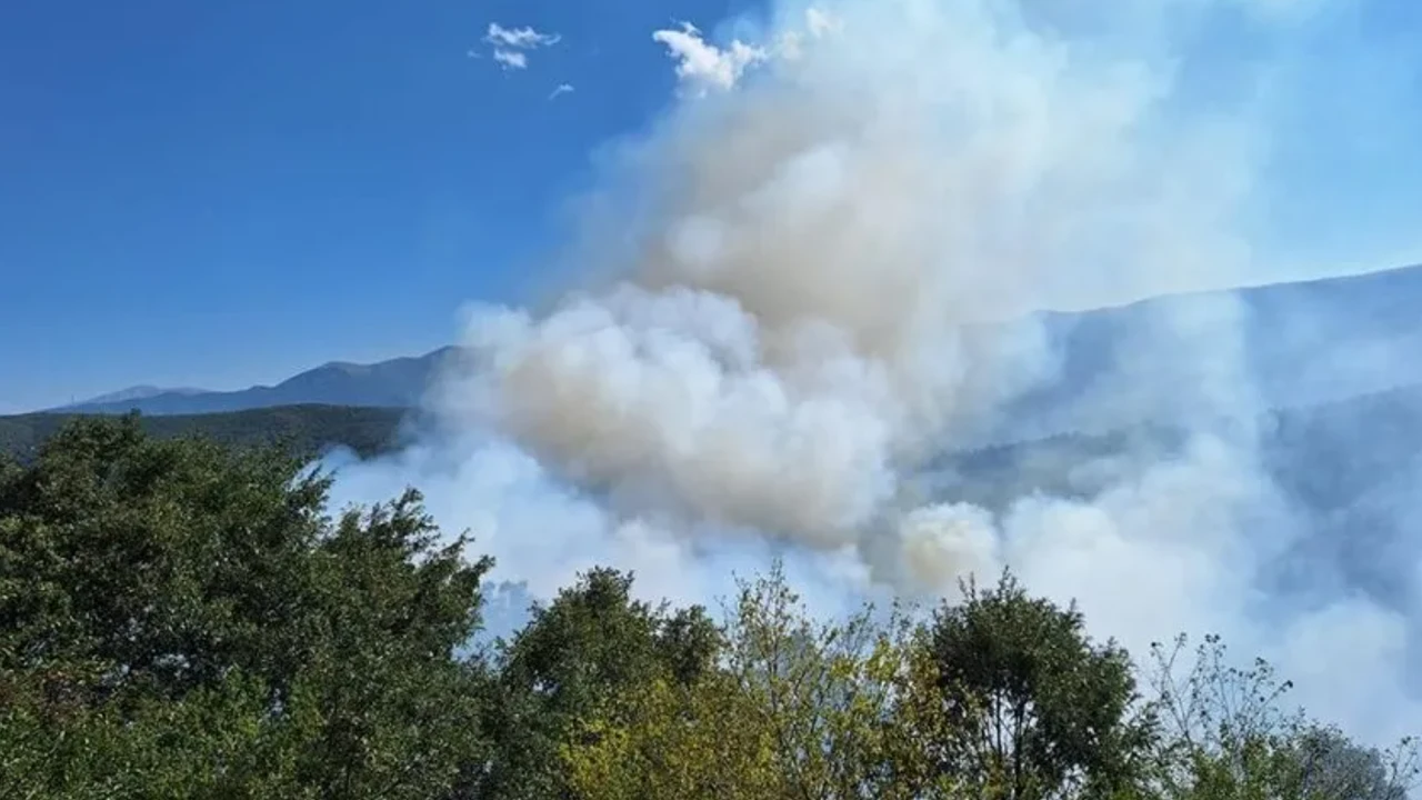 Buğday tarlasında yangın patlak verdi: Büyük kayıp yaşandı