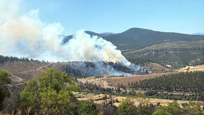 Mudanya'da yangın paniği: Tarım arazisi alevlere teslim oldu