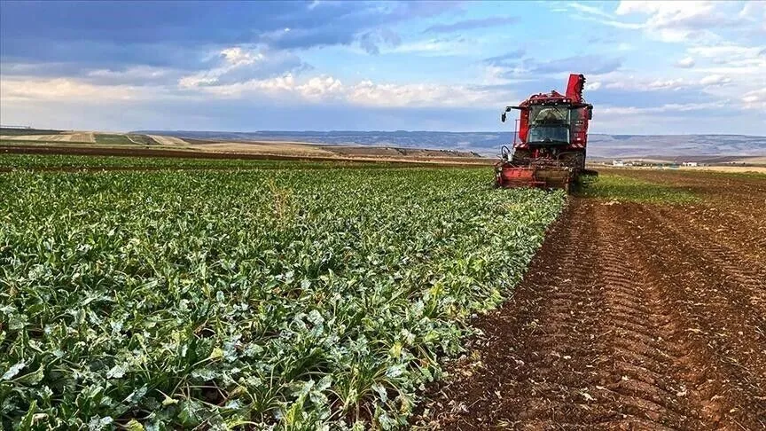 Çiftçilere 110,5 milyon lira müjdesi! Bugün hesaplara yatacak