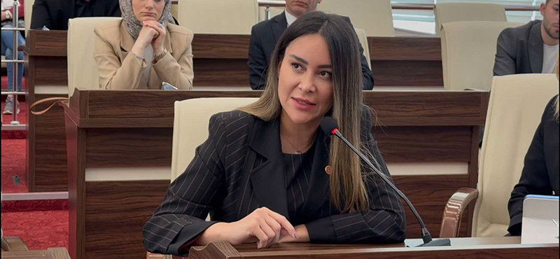 Sultangazi Belediye Meclisi üyesi Hülya Şimşek tutuklandı