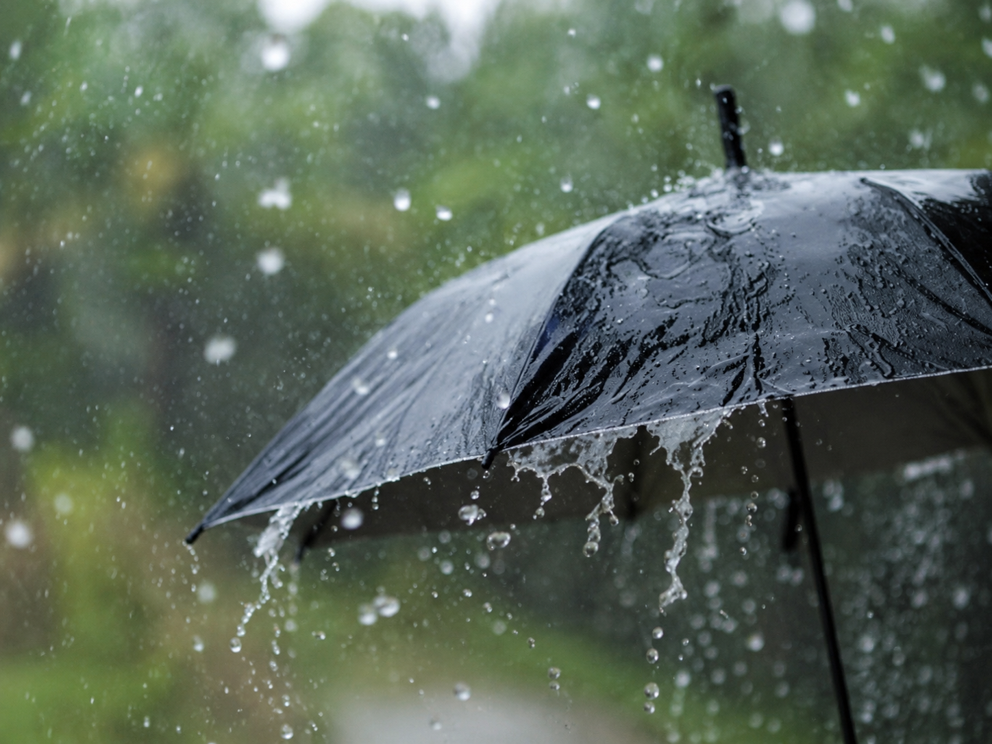 Meteoroloji uyardı: 11 ilde kuvvetli yağışlar bekleniyor