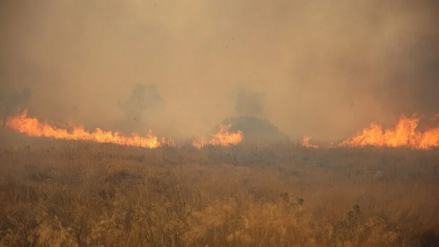 Salamina Adası'ndaki yangında 2 kişi yaşamını yitirdi