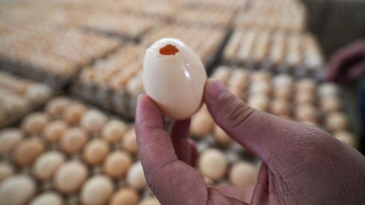 İngiltere'de salmonella salgını: 1 ölü, 207 hasta var
