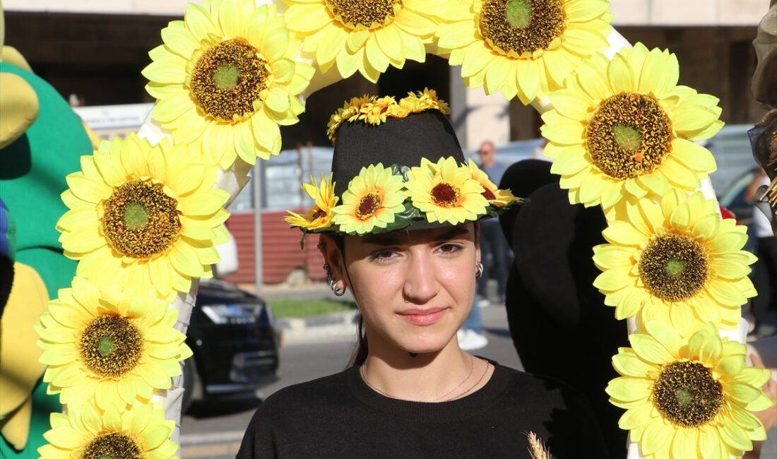 Tekirdağ'da 34. Ayçiçeği Festivali renkli görüntülere sahne oldu
