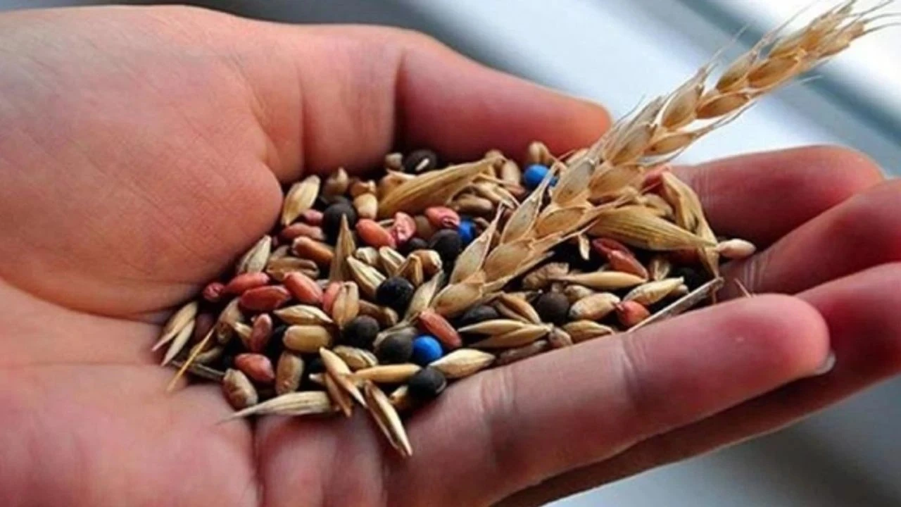 Türkiye, dünya genelinde tohumculukta 5. sıraya çıkmayı amaçlıyor
