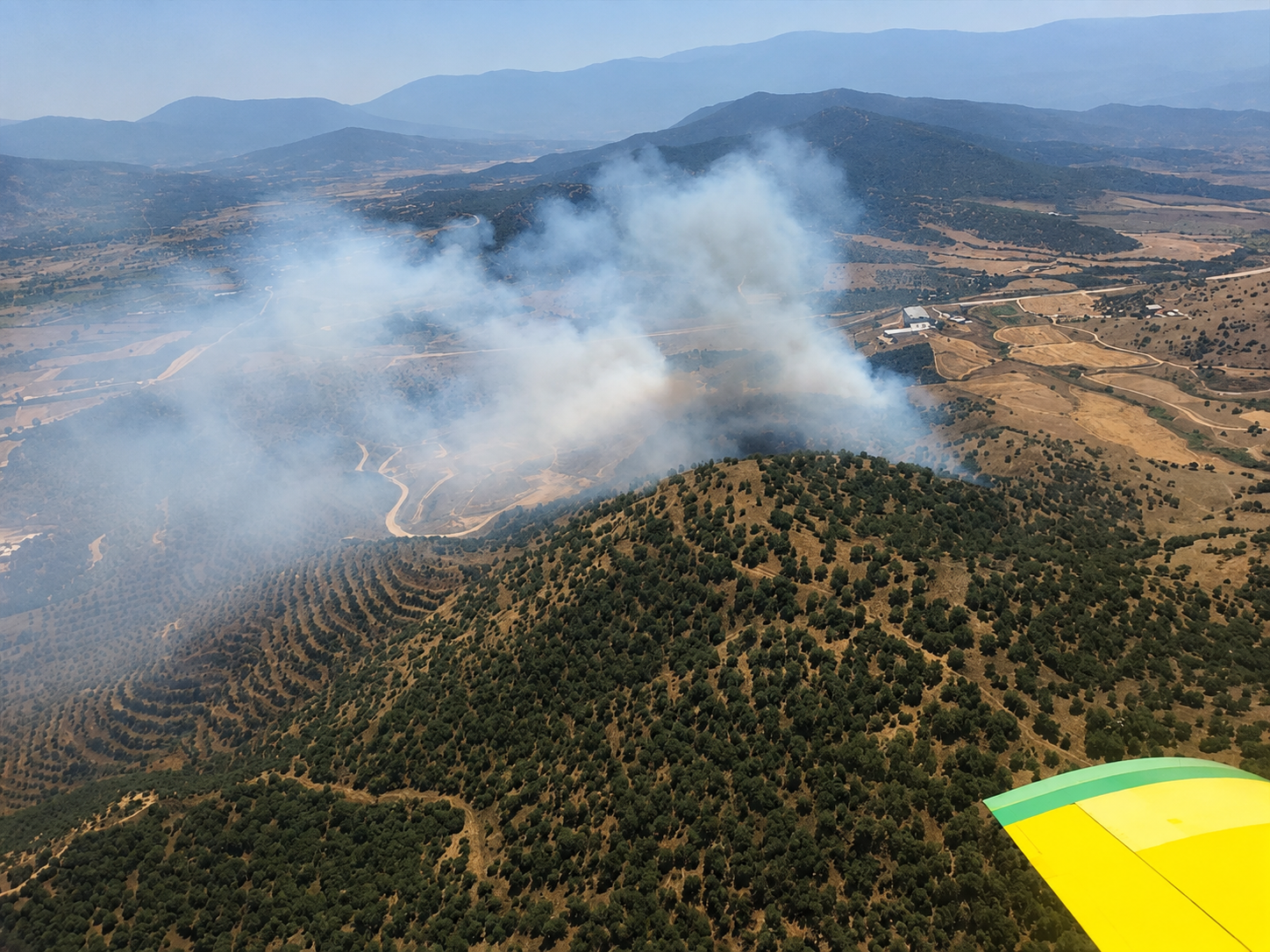 İzmir Kiraz'da korkutan yangın: Hava araçları devrede