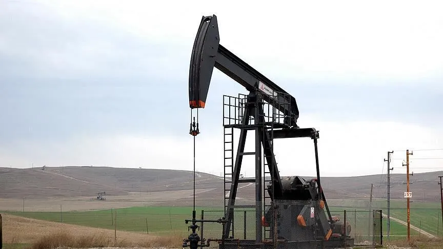 TPAO, Batman ve Siirt'te petrol arama ruhsatlarını iki yıl uzatıyor