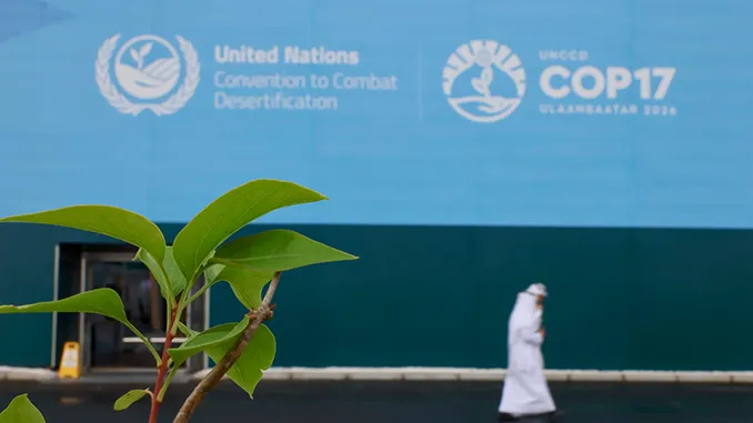 Türkiye, COP17'de çölleşme konusunda deneyimlerini sunuyor